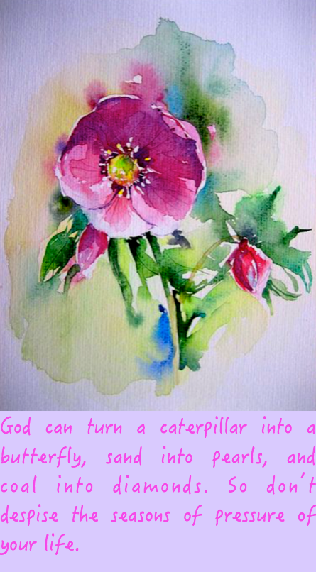 Screen Shot 2016-06-24 at 11.18.41 PM.png