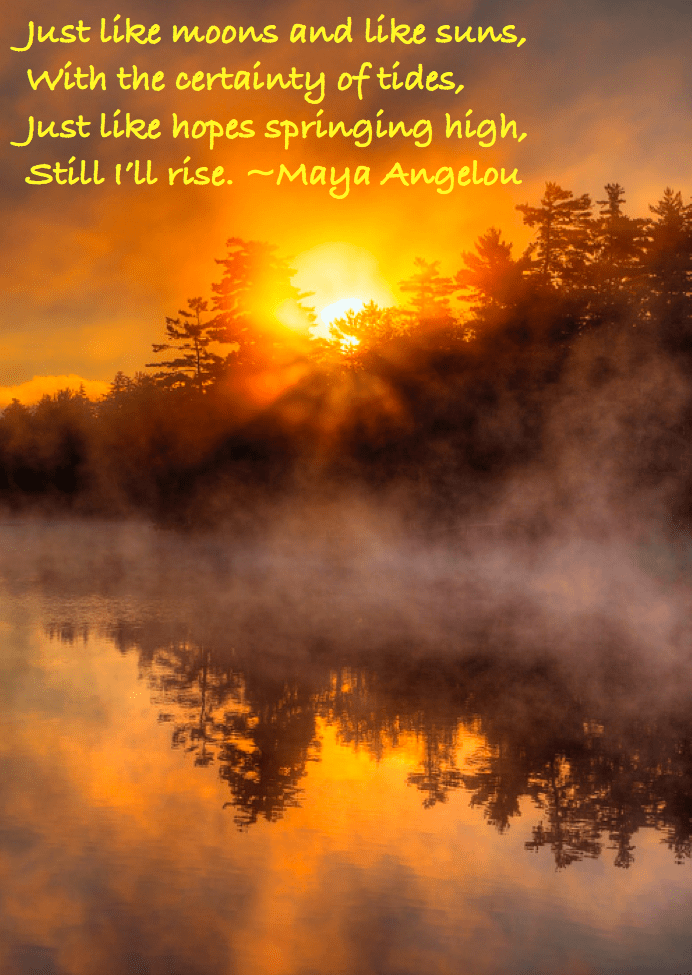 Screen Shot 2016-06-24 at 3.06.43 PM.png