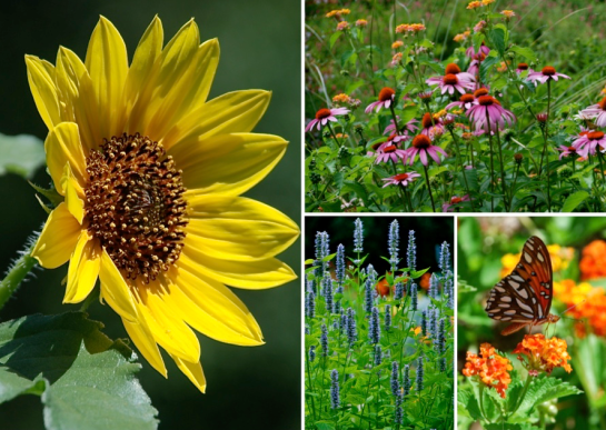 Screen Shot 2016-06-25 at 10.04.42 PM.png