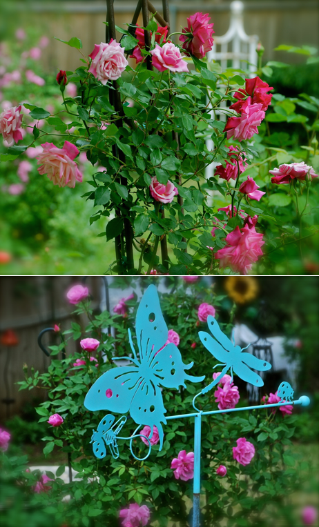 Screen Shot 2016-06-25 at 10.10.19 PM.png