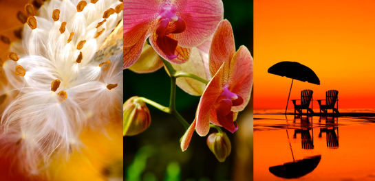 Screen Shot 2016-06-26 at 3.46.17 PM.png