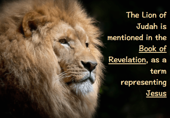 Screen Shot 2016-06-28 at 6.01.39 PM