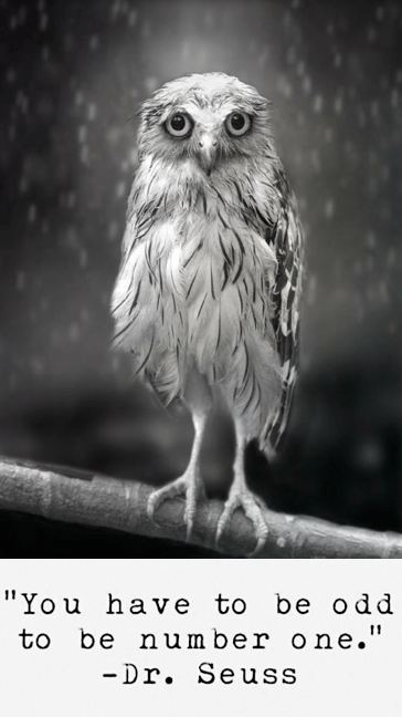 Screen Shot 2016-06-28 at 9.10.27 PM