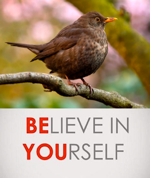 Screen Shot 2016-06-30 at 5.22.52 PM.png