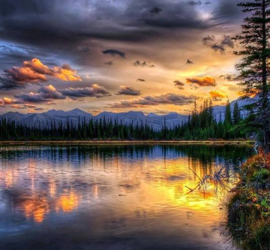 13592570_1147317421970344_5180521825787218722_n