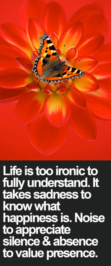 Screen Shot 2016-07-05 at 10.40.24 PM.png