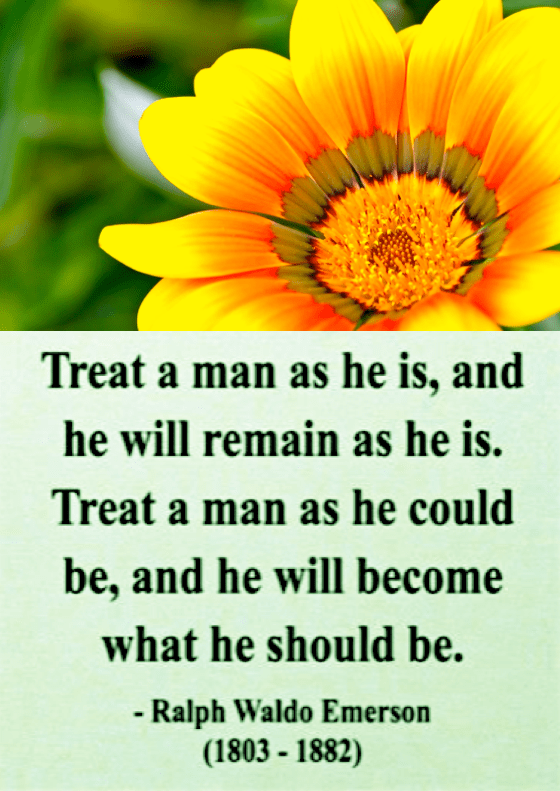 Screen Shot 2016-07-06 at 10.44.04 PM.png