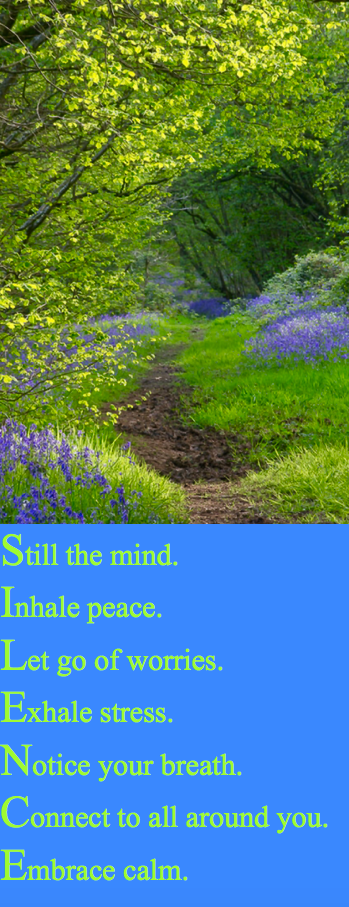 Screen Shot 2016-07-06 at 2.38.17 PM.png