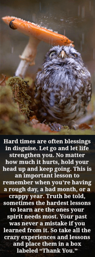 Screen Shot 2016-07-06 at 2.50.35 PM.png