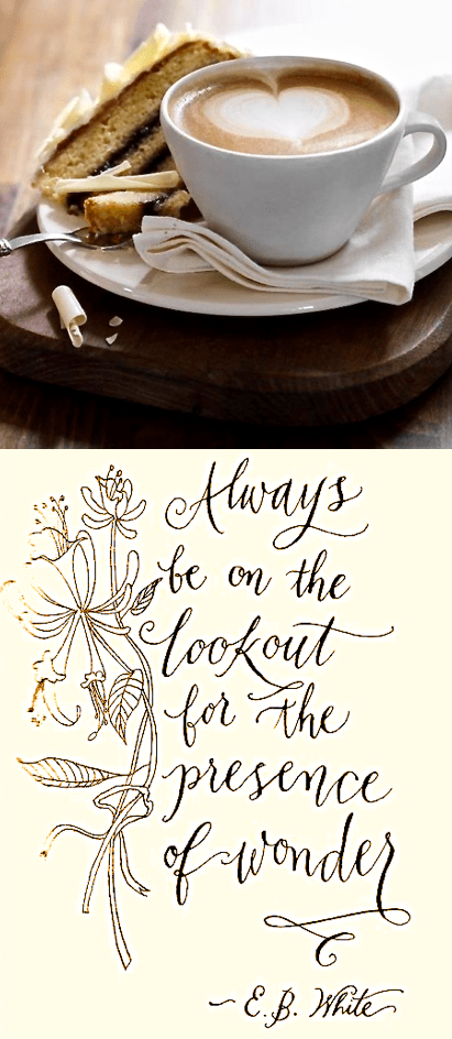 Screen Shot 2016-07-08 at 2.05.14 PM.png