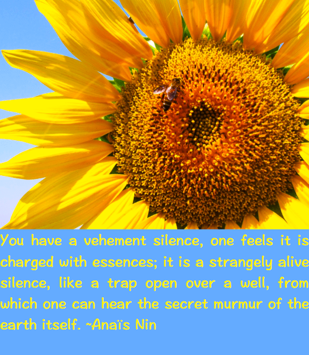 Screen Shot 2016-07-08 at 2.32.13 PM.png