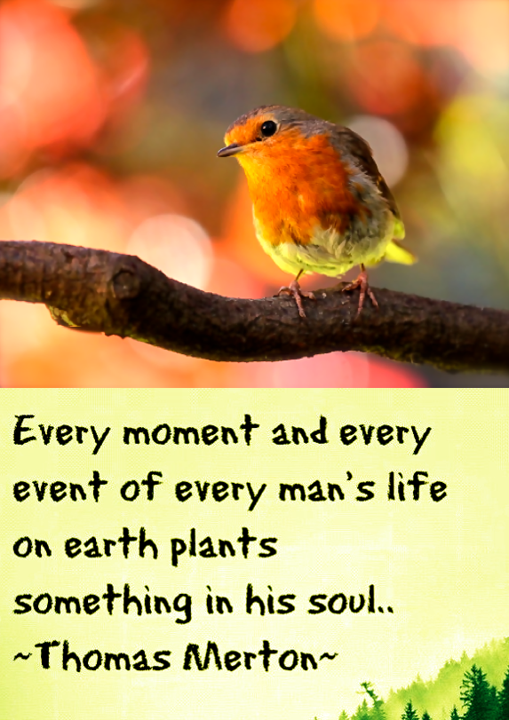 Screen Shot 2016-07-08 at 2.48.37 PM.png