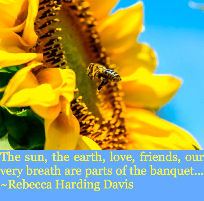 Screen Shot 2016-07-08 at 8.26.37 AM.png