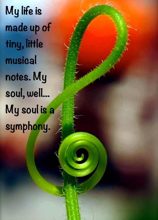 Screen Shot 2016-07-09 at 8.24.38 PM.png