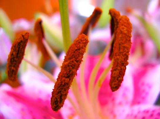 Screen Shot 2016-07-09 at 9.00.43 PM.png