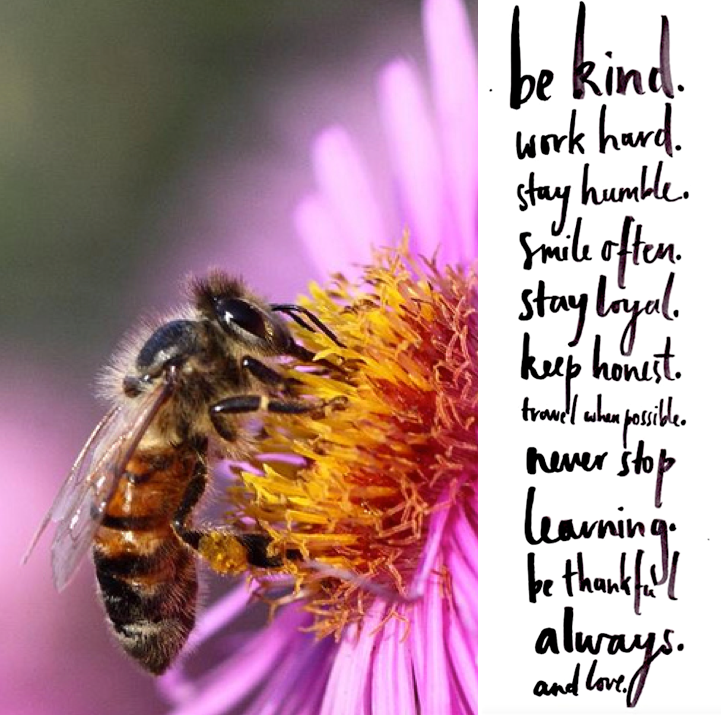 Screen Shot 2016-07-11 at 10.24.28 PM.png