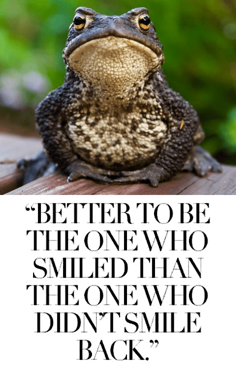 Screen Shot 2016-07-11 at 10.41.44 PM.png