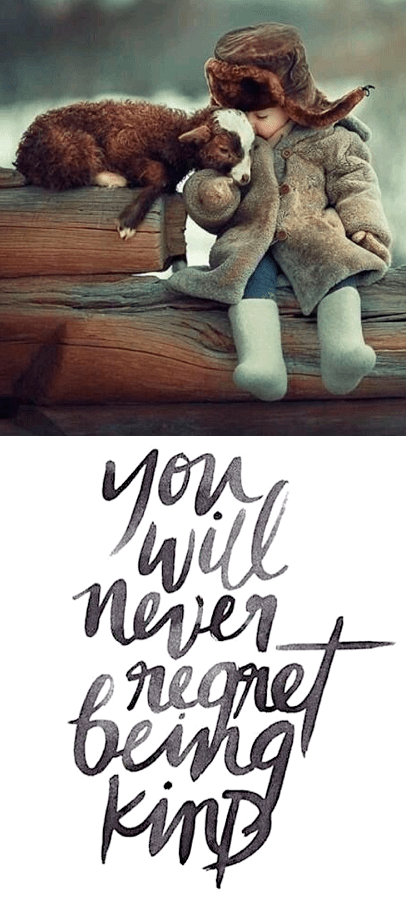 Screen Shot 2016-07-11 at 10.45.20 PM.png