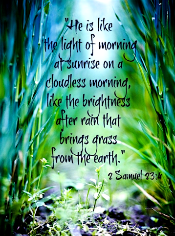 Screen Shot 2016-07-11 at 10.46.17 PM.png