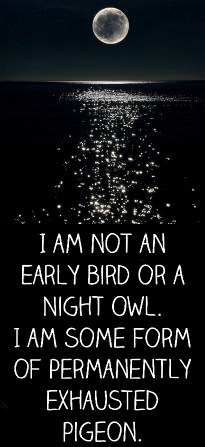 Screen Shot 2016-07-12 at 10.31.03 PM.png