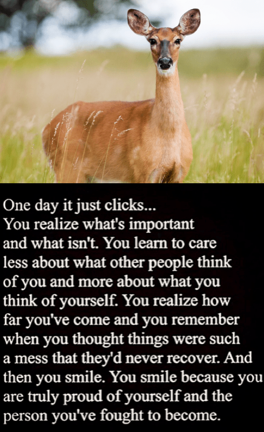 Screen Shot 2016-07-13 at 10.23.45 PM.png