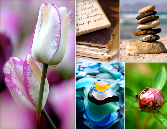 Screen Shot 2016-07-14 at 8.21.16 PM.png