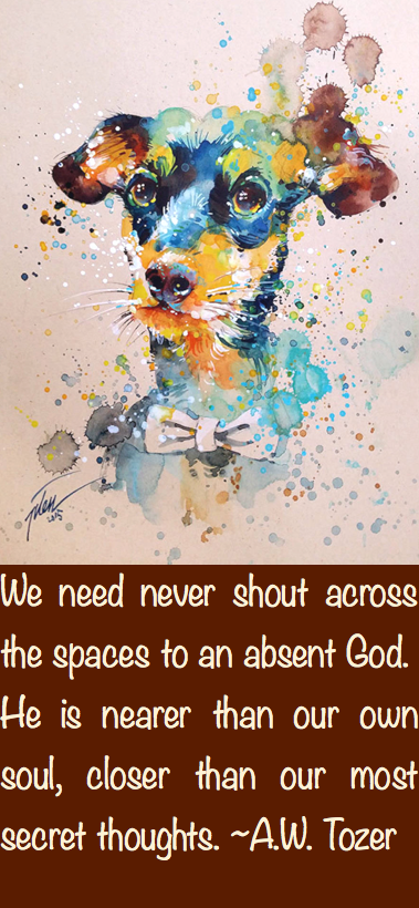 Screen Shot 2016-07-16 at 12.08.37 AM.png