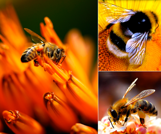 Screen Shot 2016-07-16 at 9.33.46 PM.png