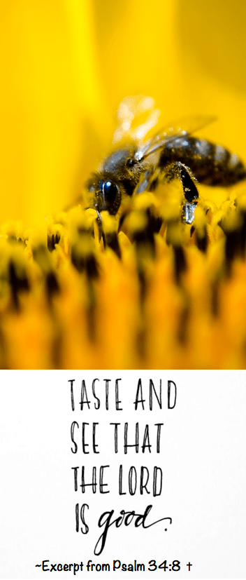 Screen Shot 2016-07-16 at 9.59.46 PM.png