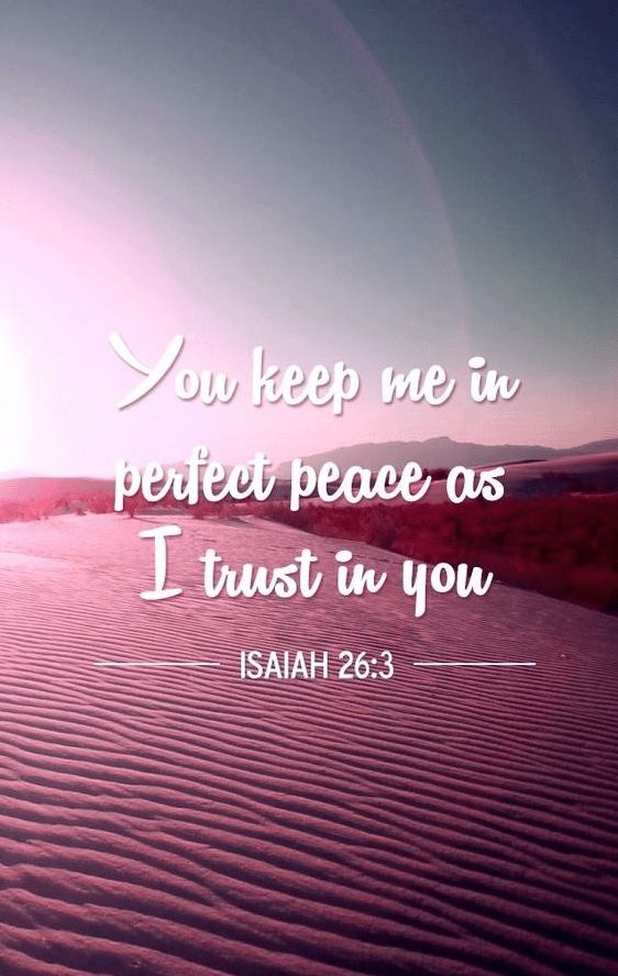 Screen Shot 2016-07-17 at 5.46.45 PM.png