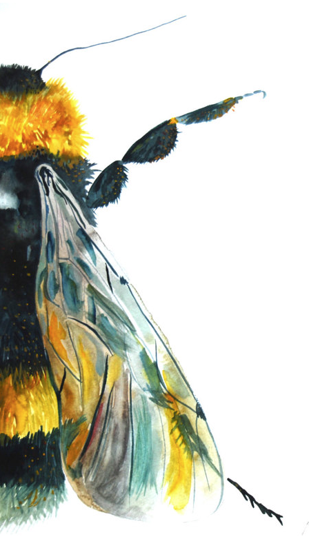 Screen Shot 2016-07-18 at 9.14.06 PM.png