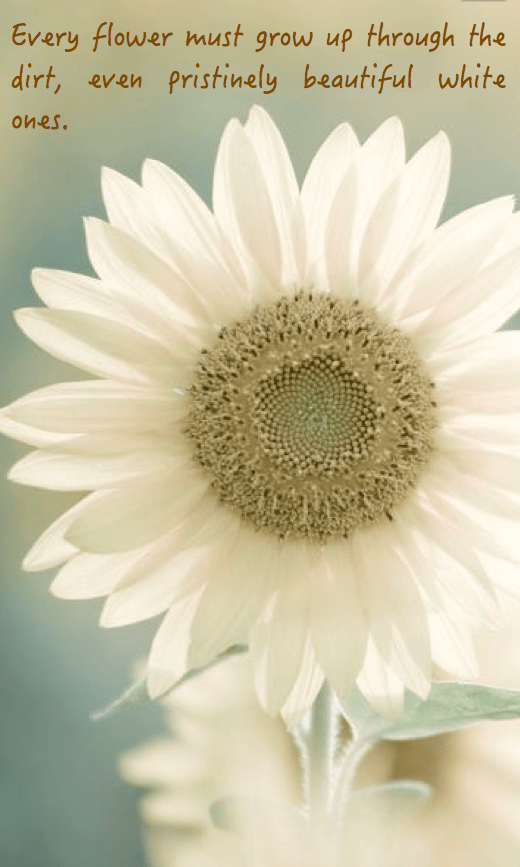 Screen Shot 2016-07-19 at 10.22.01 PM.png