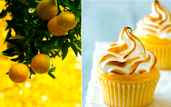 Screen Shot 2016-07-19 at 8.44.30 PM.png