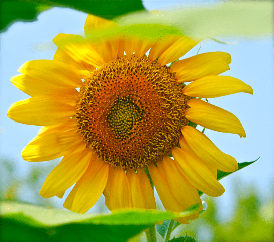 Screen Shot 2016-07-22 at 9.25.30 PM.png