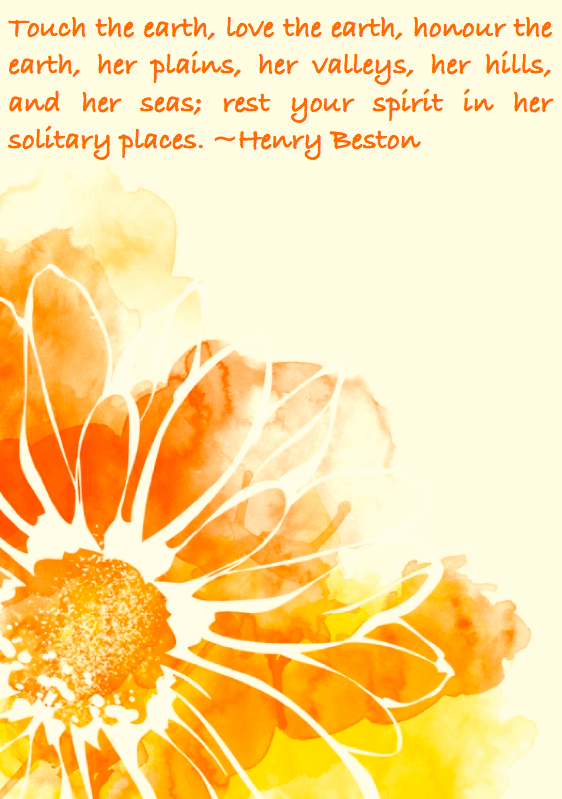 Screen Shot 2016-07-23 at 10.28.06 PM.png