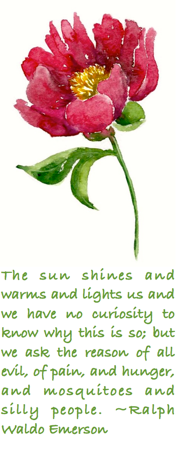 Screen Shot 2016-07-24 at 10.12.17 PM.png