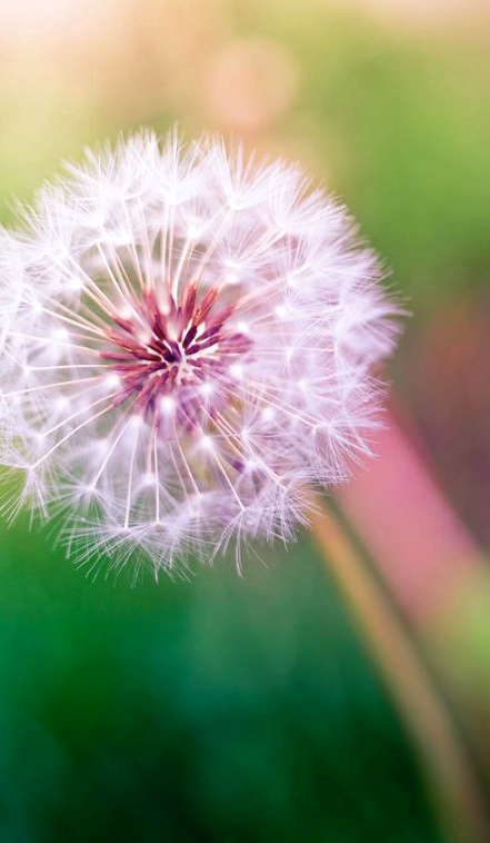 Screen Shot 2016-07-25 at 7.30.28 PM.png