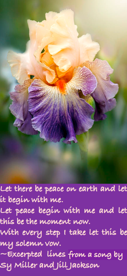 Screen Shot 2016-07-26 at 9.59.50 PM.png