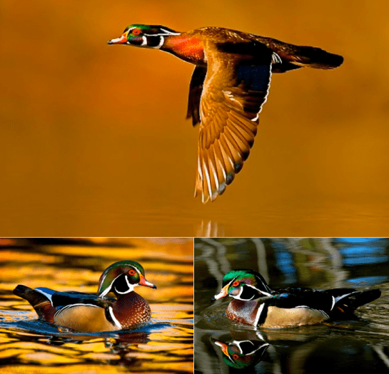 Screen Shot 2016-07-27 at 5.46.05 PM.png