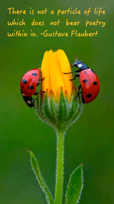 Screen Shot 2016-07-28 at 10.20.54 PM.png