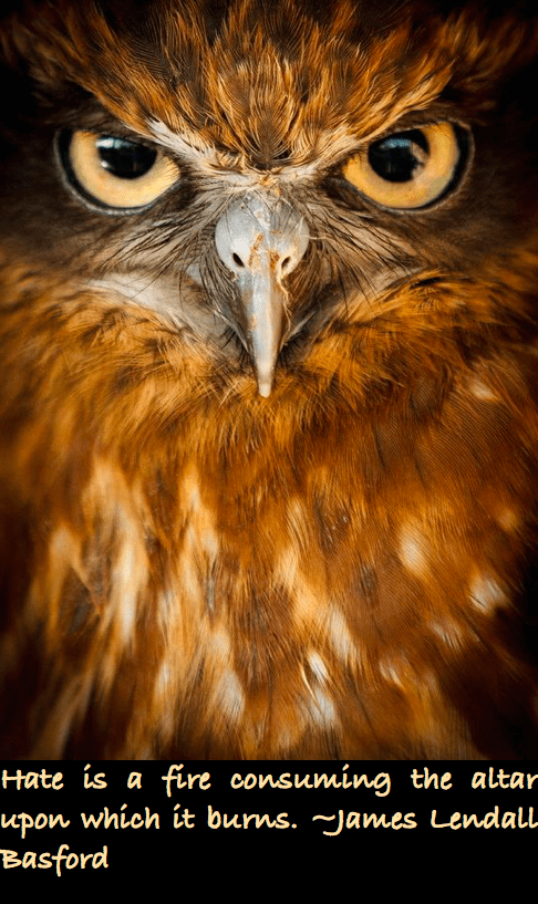 Screen Shot 2016-07-28 at 10.37.54 PM.png