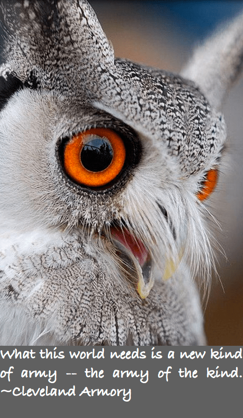 Screen Shot 2016-07-28 at 10.44.20 PM.png