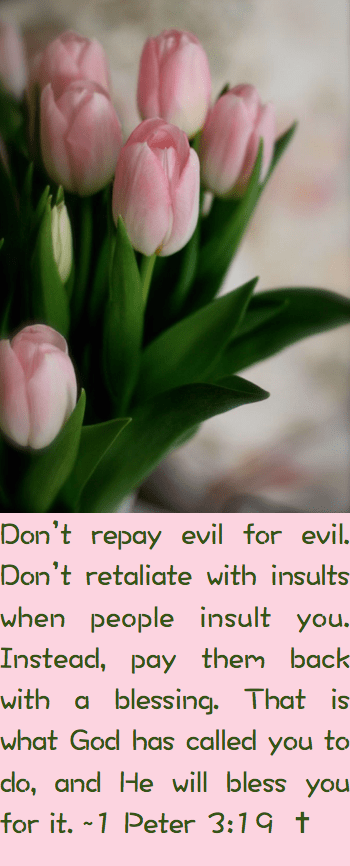 Screen Shot 2016-07-30 at 11.00.36 PM.png