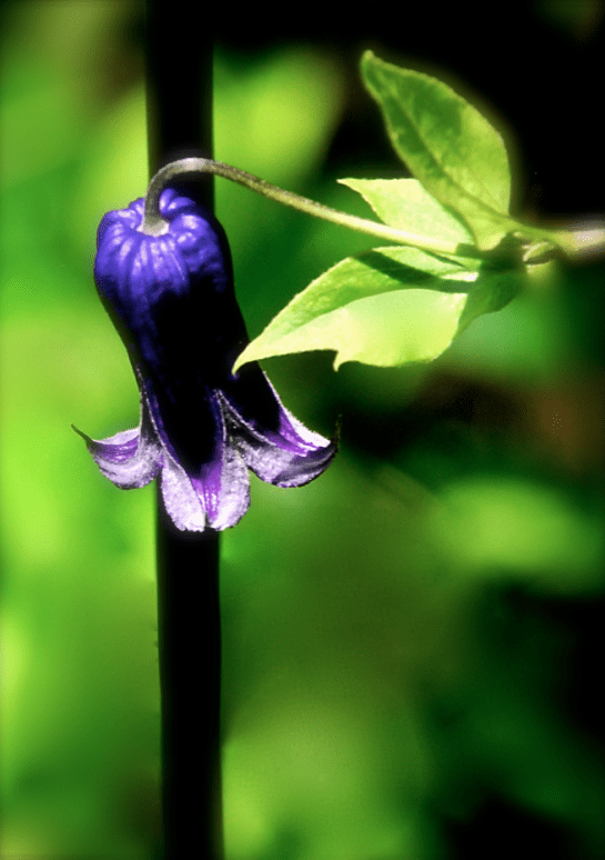 Screen Shot 2016-07-30 at 9.47.11 PM.png