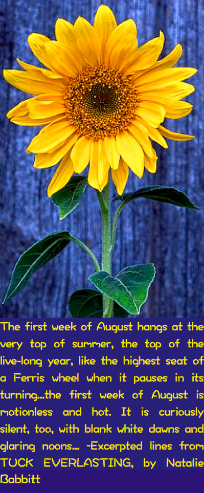 Screen Shot 2016-07-31 at 10.01.53 PM.png