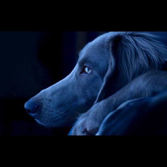 14088594_10154436260862731_6934710655874374813_n