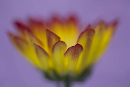 14199427_1109005095845488_816964861589018673_n