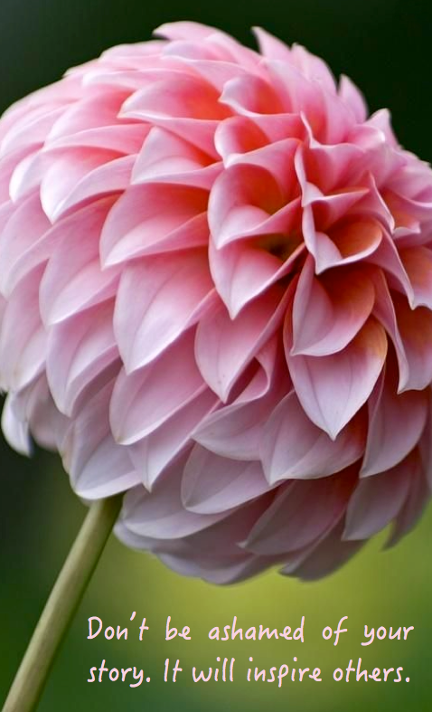 Screen Shot 2016-08-01 at 10.16.59 PM.png