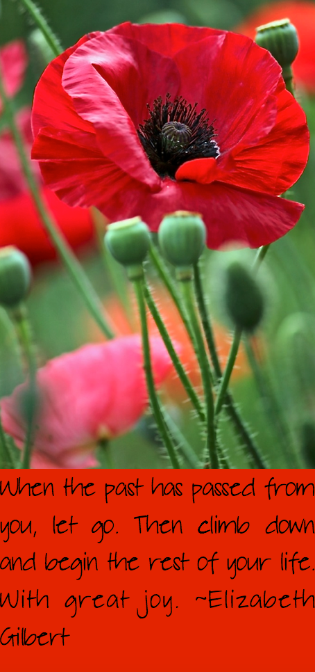 Screen Shot 2016-08-01 at 10.32.28 PM.png