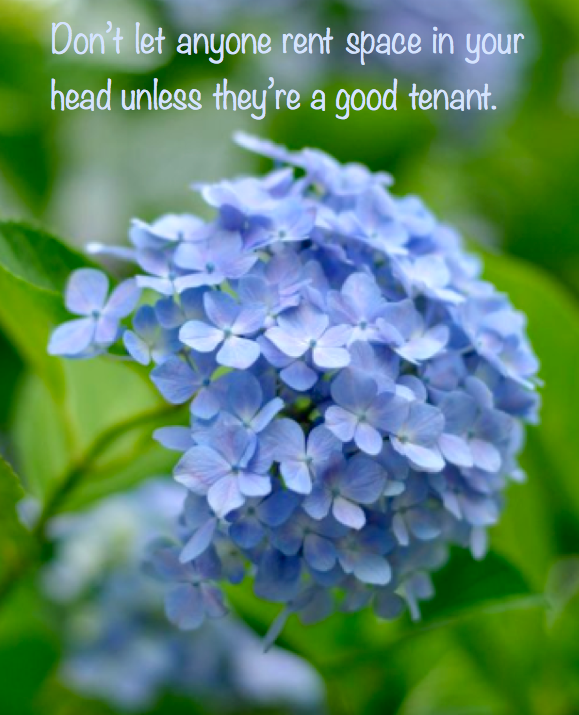 Screen Shot 2016-08-01 at 10.36.04 PM.png